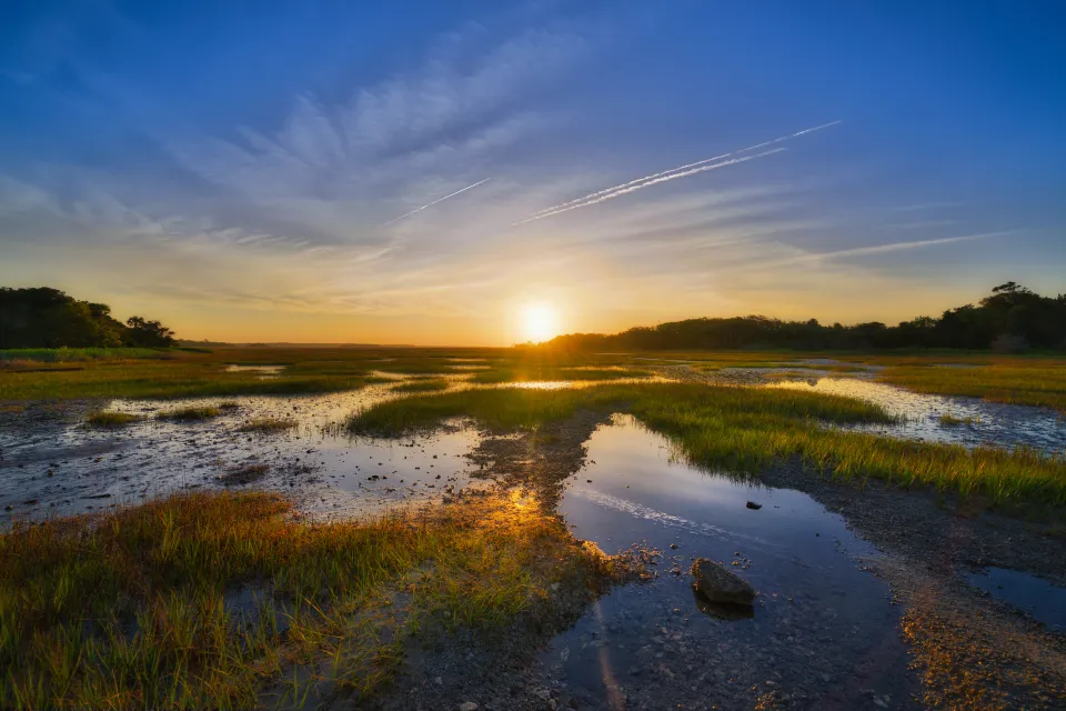 View of wetlands in South Carolina at sunrise or sunset